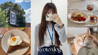 Kyoto vlog | 京都で働くひとり暮らしの日常 | 祇園祭期間 | NEUF | とくら | たま木亭
