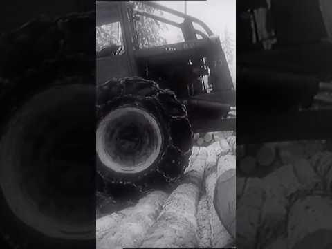 Práce v lese v roce 1979 #traktor #forest #viralshort #viralvideo #lkt