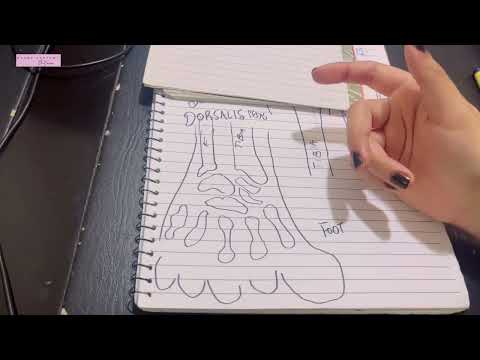 Dorsum of Foot | Dorsalis Pedis Artery Fully Explained & Made SIMPLE