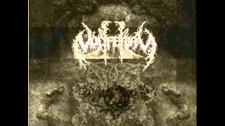 Vociferian-Vanitas Decorum vicious Black Metal Metalbolic Records