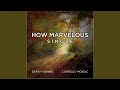 How Marvelous (I Stand Amazed) (feat. Corneliu Moisuc)