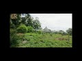 Rekkalu Virichesave Cover Song Telugu Full Video Song