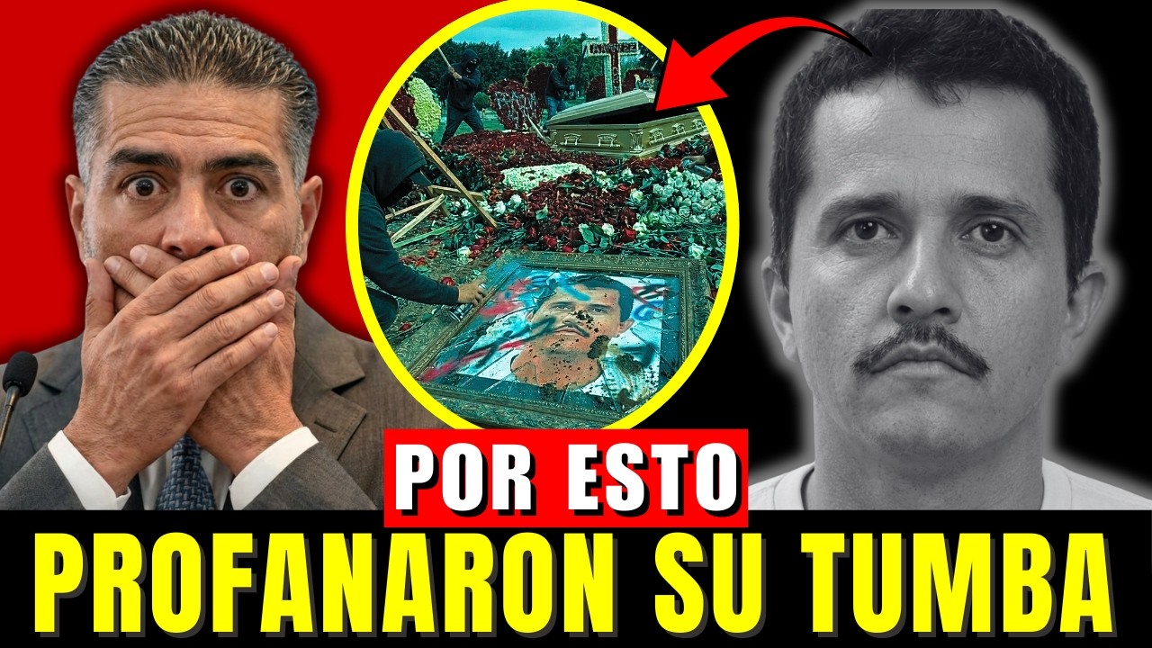 YouTube Thumbnail Downloader FULL HQ IMAGE