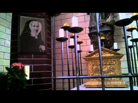 STÜRMISCHE BESUCHER (PB 5)