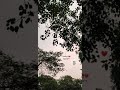 Sukoon Mila Female Version Status Full Screen Sukoon Mila Arijit Singh Whatsapp Status Sukoon Mila