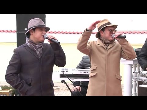 FRATII DE AUR  - AM BARBAT DE CASA - LIVE 100%  (Dan Bursuc Official)