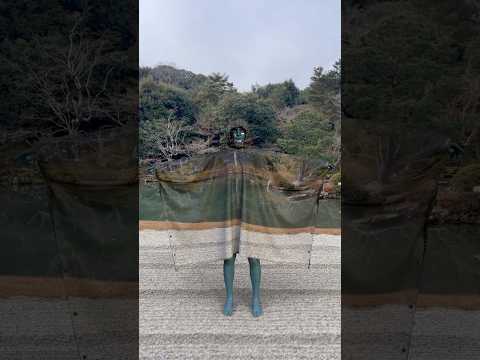 Fashion Camouflage in Kyoto 🫥 #art #illusion #streetart #japan #alien #painting #artist