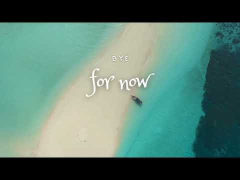 Bye For Now - Elligators