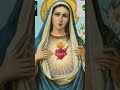 Immaculate conception and immaculate heart of mary