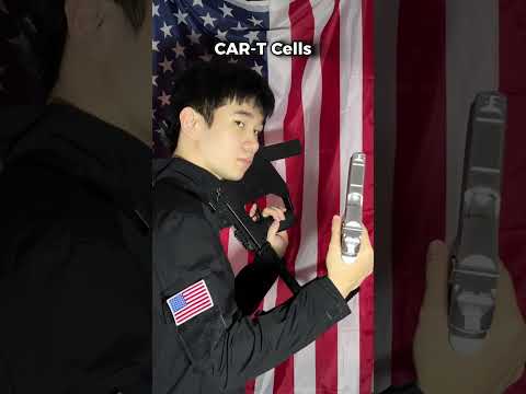 Your Body’s Superheroes: The Immune System