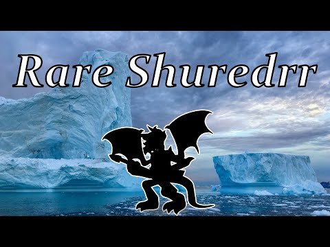 Rare Shureddr