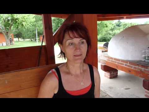 Panyi Katalin a Liszt Ferenc iskola  szakmai napjáról