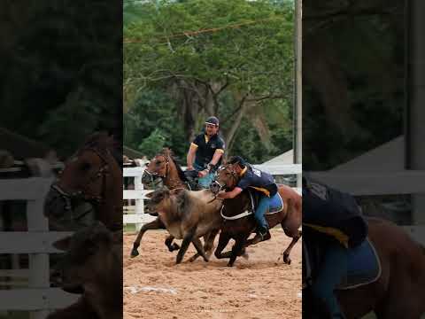 PEGA A MALDADE DA BANDIDA   DJ LUAN GOMES