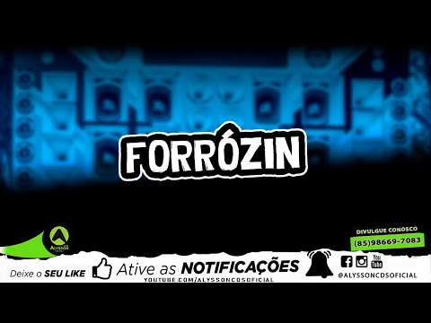 SELEÇÃO DE FORRÓZIN 1.0 - AS MELHORES PRA PAREDÃO - MEDIO E GRAVE - LUIZ PODEROSO CHEFÃO