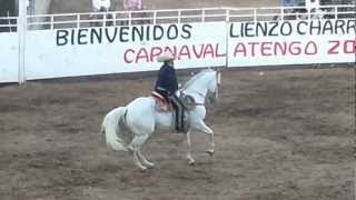 preview picture of video 'Victoriano Patino Toros de Atengo Jal. 2013'