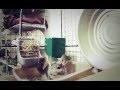 Wally & Stash - Chinchilla PhotoPlay 2