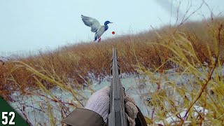 Mallards DUMPED Into This ICE HOLE! (Limited Out) | 28 Gauge Duck Hunting