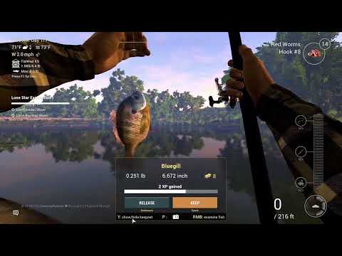 Catching Trophy Fish in Fishing Planet (Episode 1)
