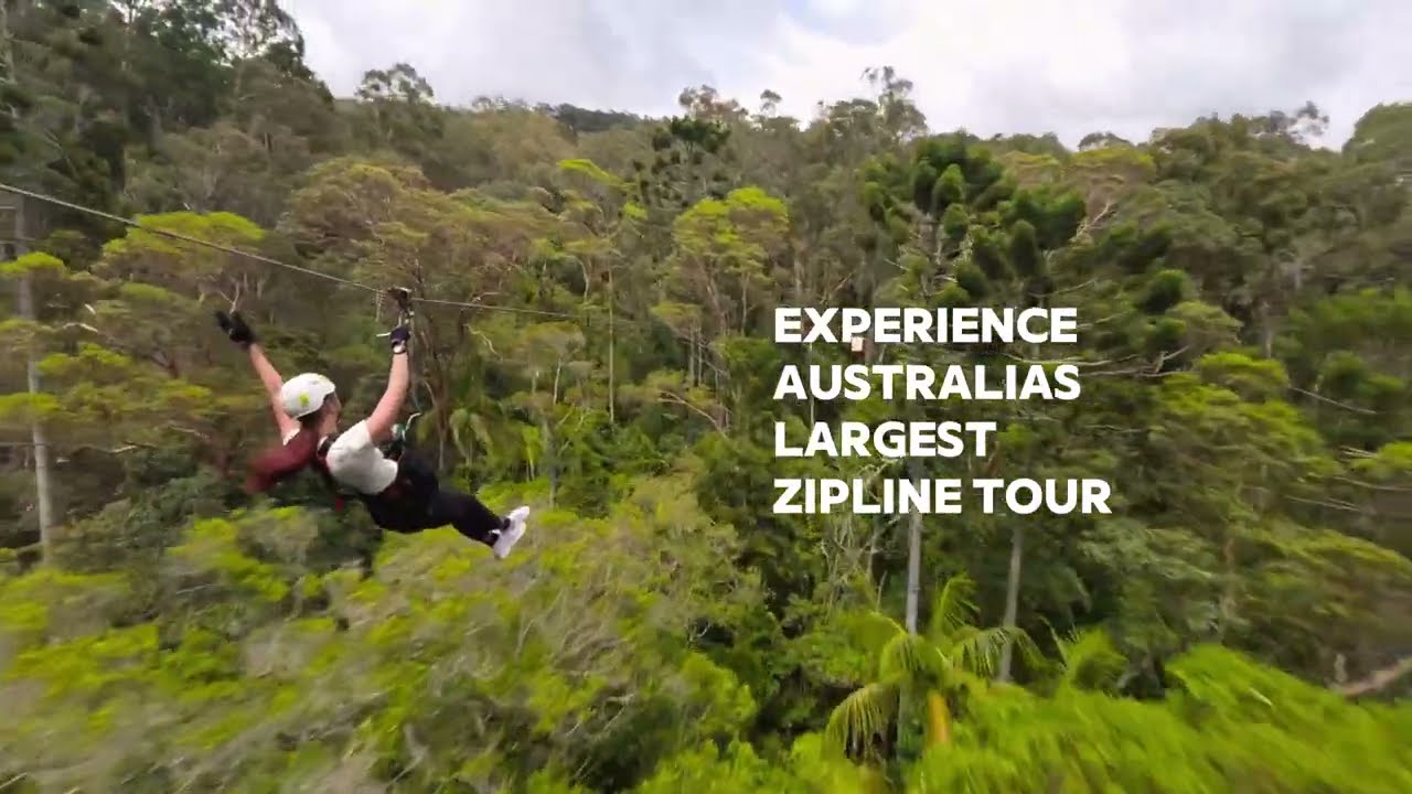 Experience the highlights of Canyon Flyer Zipline.