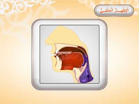 فيديو تعليمي