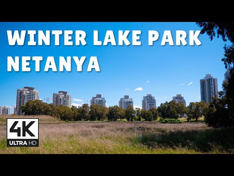 Winter Lake Park, Netanya | 4K Relaxing Virtual Walk