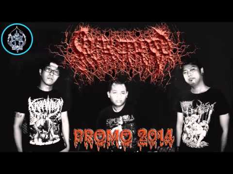 Self Butchered - Promo 2014