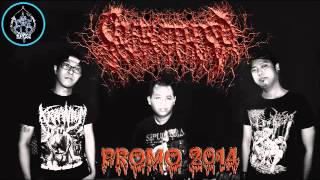 Self Butchered - Promo 2014