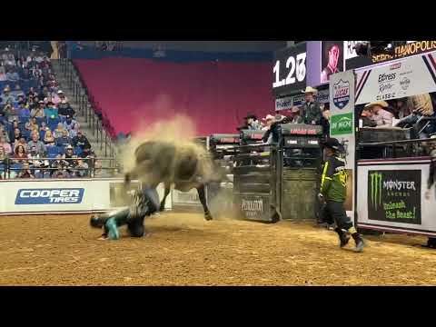 Sky’s The Limit - Halpain Bucking Bulls