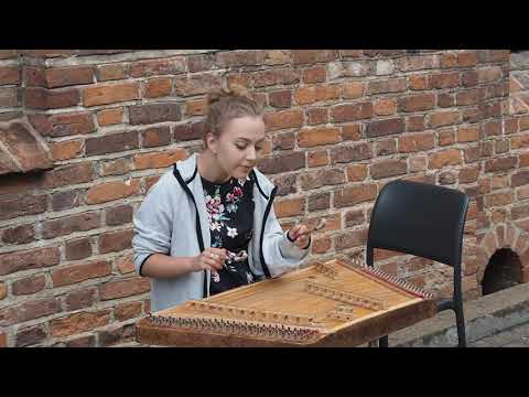 Vilnius Street Musician