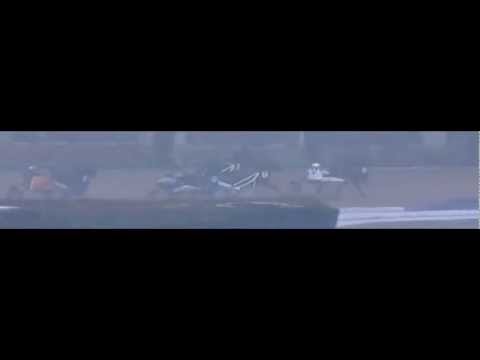 Fritz-Brandt-Rennen 2013_Pretty Ripped_Jörg Hafer