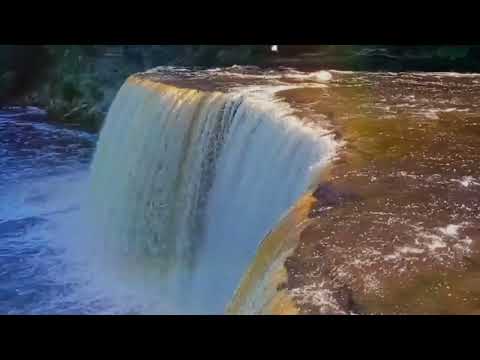 The Grace Thrillers  - Too Much To Gain To Lose