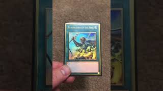 UNSTOPPABLE FUR HIRE YU-GI-OH! DECK PROFILE! #yugioh #yugiohcards #beautiful