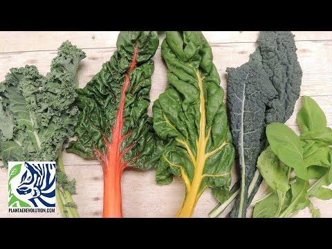 download lagu mp3 mp4 Recetas De Hojas Verdes, download lagu Recetas De Hojas Verdes gratis, unduh video klip Recetas De Hojas Verdes