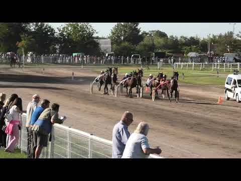 Trka "Kvalifikaciona trka za prvenstvo grla od 3.g.” 15.09.2019 Montecatini - Branislav Mukić
