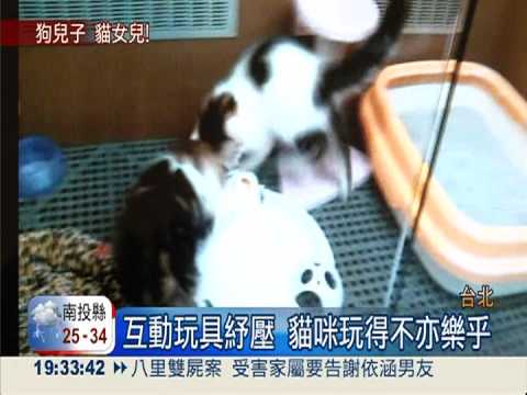 新奇玩具.水鑽骨灰罐 寵物展搶錢