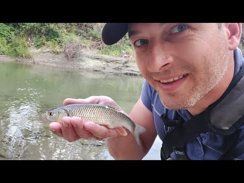 Pescuit CLEAN la Spinning cu ROTATIVA