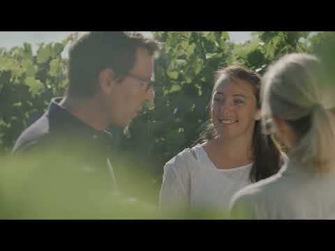 Cognac COURVOISIER VSOP 700 ml in Cutie Cadou video
