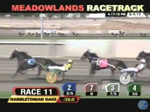 Personal Style - 2012 Hambletonian Oaks - The Meadowlands