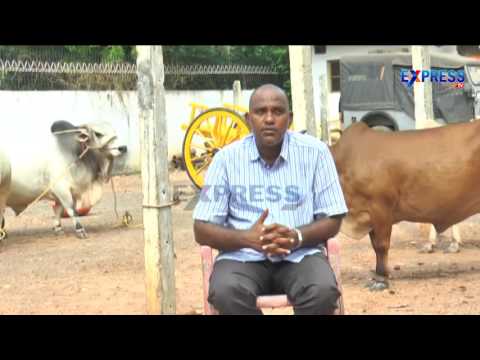 , title : 'Punganur Cow Breed Developed by Bhanu Prakash Vallabhaneni - Express TV'
