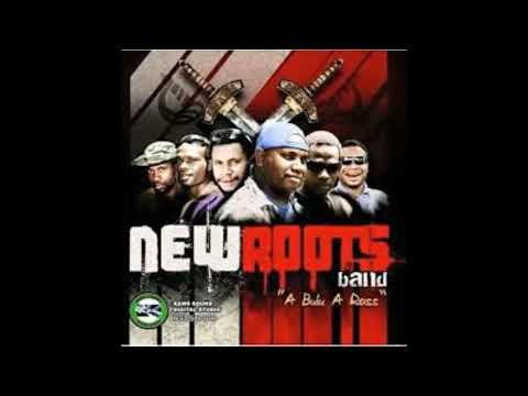 Tribute - New Roots Band