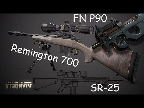 Escape from Tarkov #019 FN P90, SR-25, Remington 700...