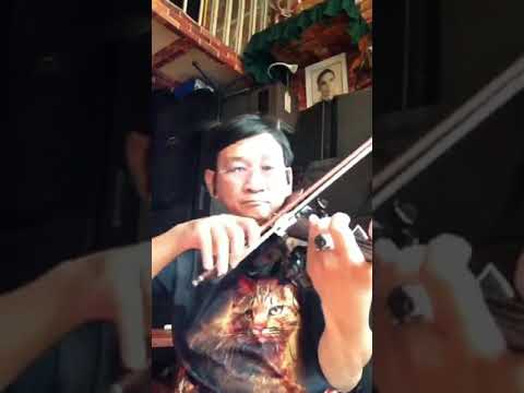 Relax By Thanh Tung Violin Que Huong Tuoi Tho Toi Saigon Covid Lockdown Time