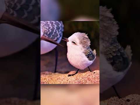 Minha mãe me ensinou algo grandioso.  #dicasdefilmes #filmes #series #shorts #foryoupage