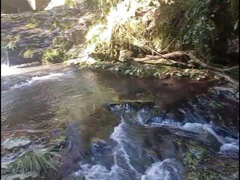 Campo 828has. en venta - Sgo. del Estero