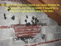 Remove Bats in the House