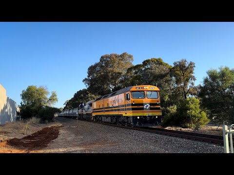 1453S with ALF19 CM3305 at Salisbury North. 22-11-2023.