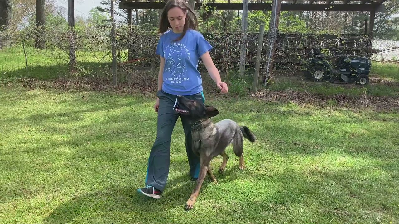 Cheyenne IGP1 Protection Training