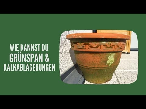 Terrakotta Töpfe richtig reinigen (Kalkablagerungen & Grünspan entfernen)
