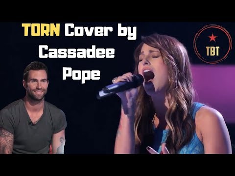 Cassadee Pope's Blind Audition "Torn" - The Voice