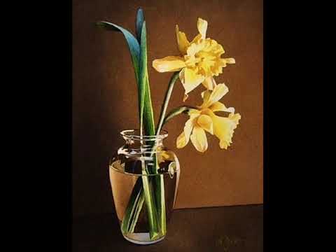 The High Hatters  - Where The Golden Daffodils Grow, 1930